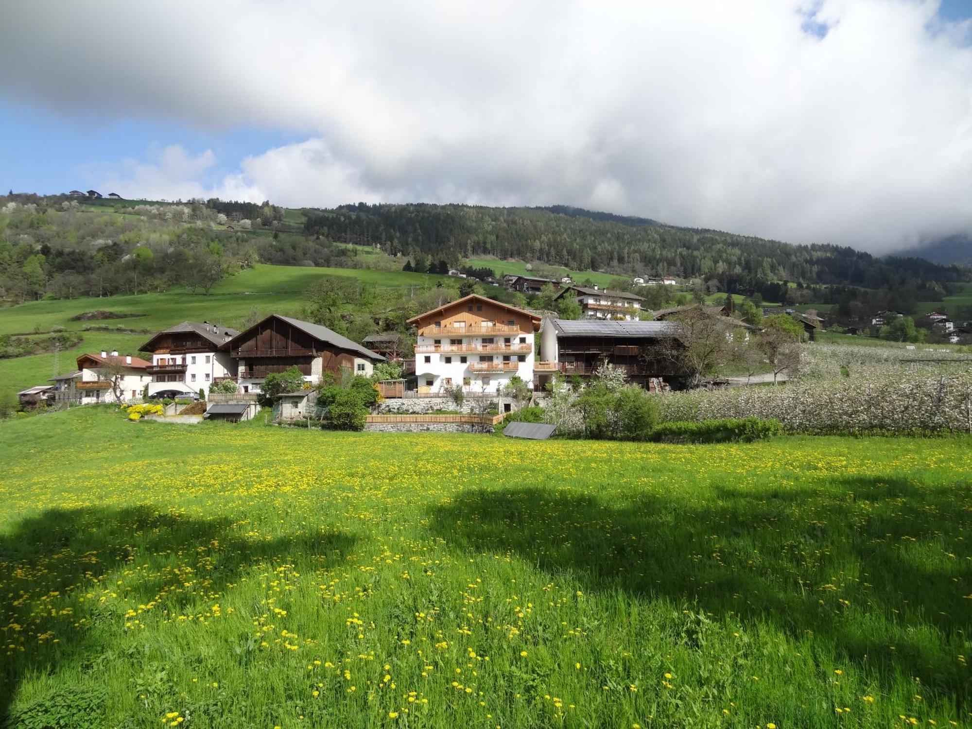 Huberhof App Golden Delicious Apartment Feldthurns Bagian luar foto